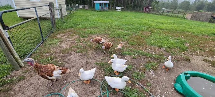 Home Field Advantage Farmstead 6