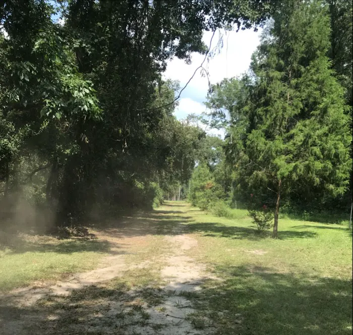 Hamilton Compound 3