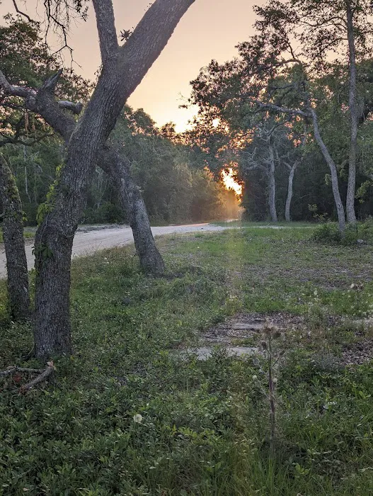 Mill Creek North Campsite 2