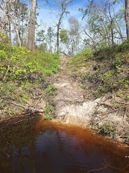 Mill Creek North Campsite 1