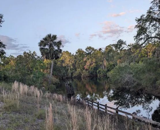 Mill Creek North Campsite