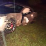 Agriculture Forestry Department