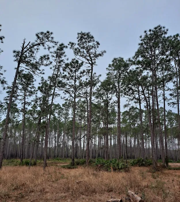 Buckhorn Camp 3