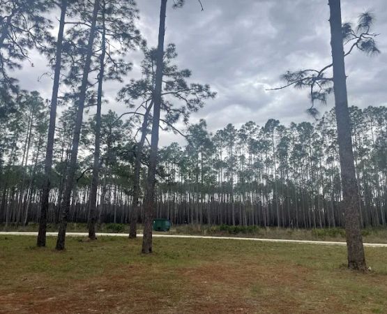 Buckhorn Camp