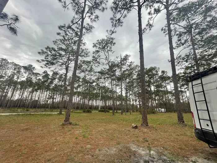 Buckhorn Camp 4
