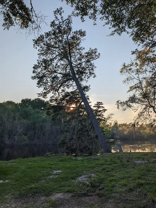Piney Creek Landing Campground 6