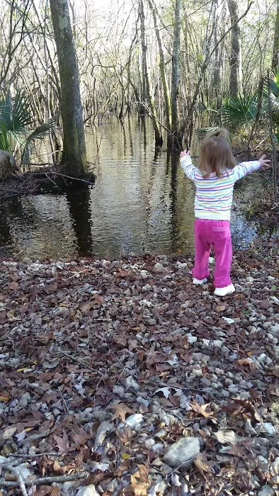 Piney Creek Landing Campground 3