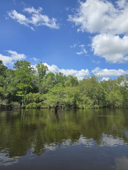 Piney Creek Landing Campground 4