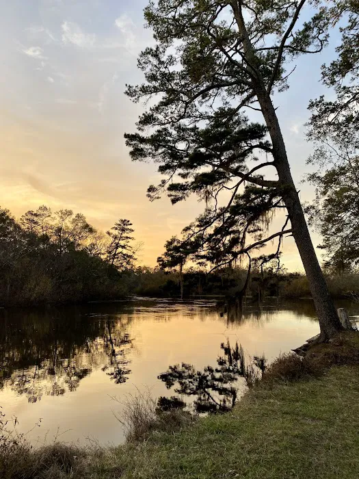 Piney Creek Landing Campground 5