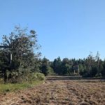 The Outside Inn Tree Farm & Mill