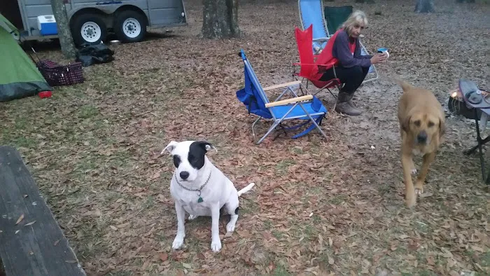 O'Leno River Rise Horse Camping And Trails 2