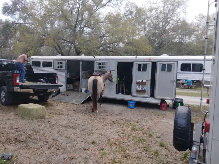 O'Leno River Rise Horse Camping And Trails 0