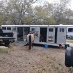 O'Leno River Rise Horse Camping And Trails