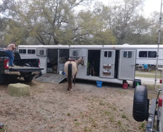 O'Leno River Rise Horse Camping And Trails