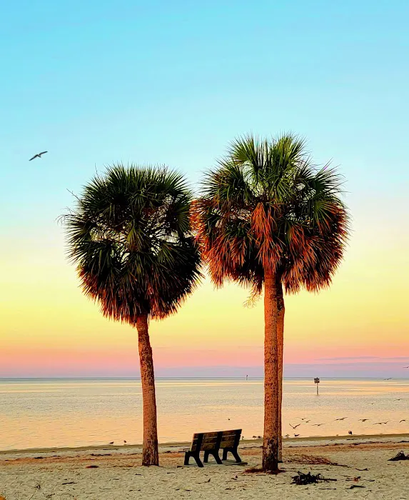 The Oasis RV Campground 8