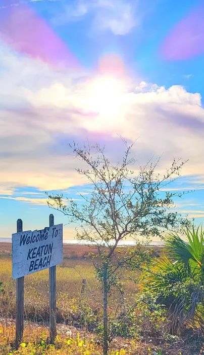 The Oasis RV Campground 9