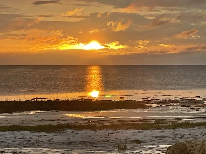 pura vida overnight 2