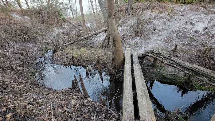 Waldrons Landing 2
