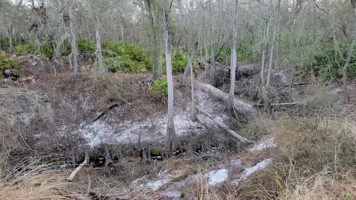 Waldrons Landing 3