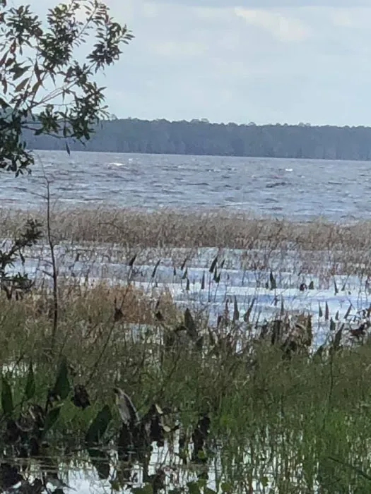Hog Pen Landing 0