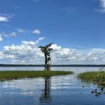 Olustee, FL. Hog Pen Landing