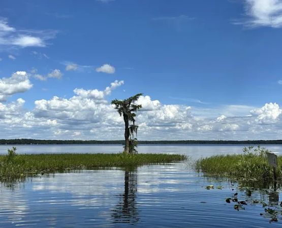 Olustee, FL. Hog Pen Landing