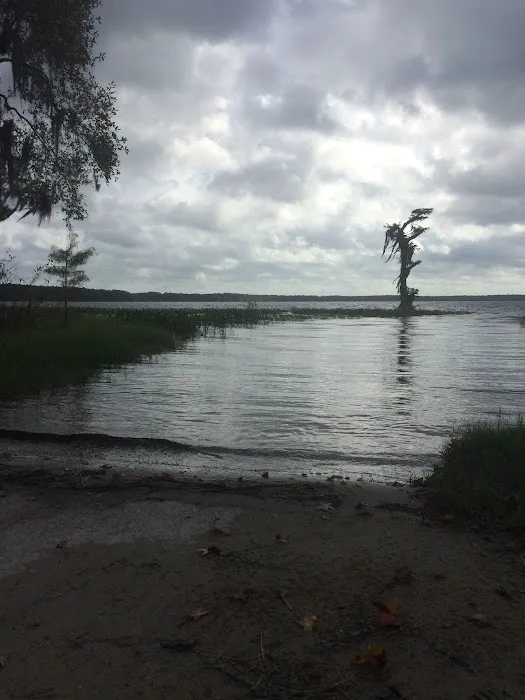 Olustee, FL. Hog Pen Landing 3