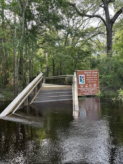 Peacock Slough River Camp 7