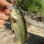 Peacock Slough River Camp