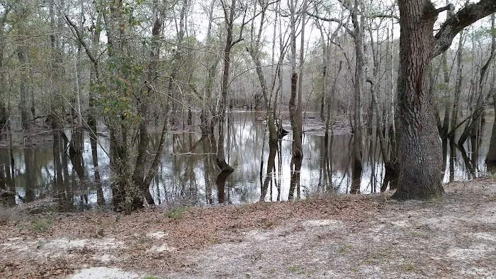 Big Gully Landing Campground 2