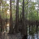 Big Gully Landing Campground
