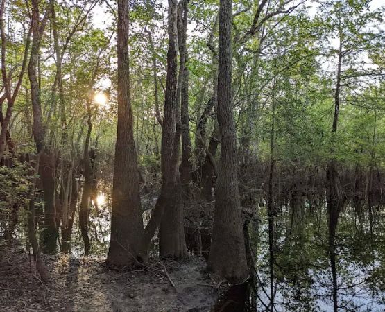 Big Gully Landing Campground