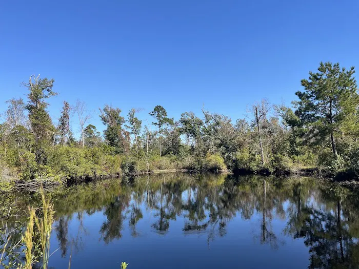 Scotts Ferry 0