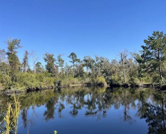 Scotts Ferry