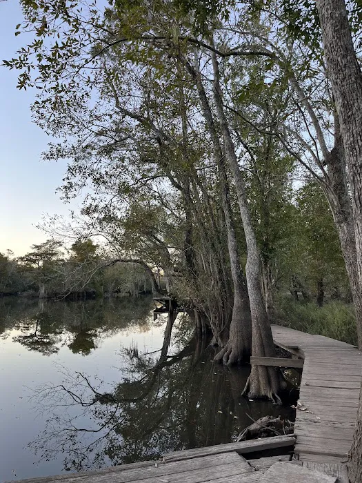 Scotts Ferry 7