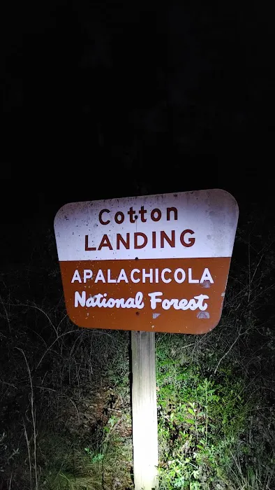 Cotton Landing Campground 1