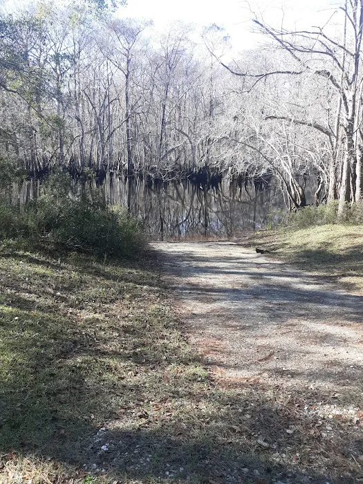 Cotton Landing Campground 9