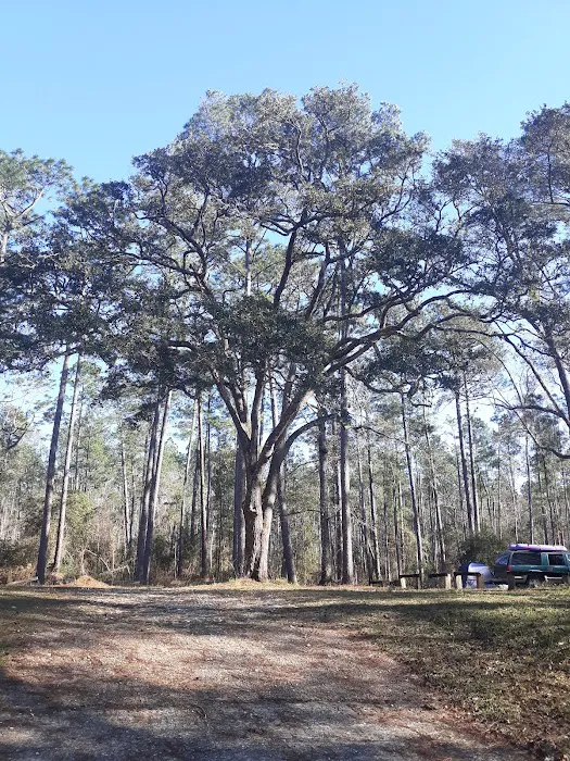 Cotton Landing Campground 8