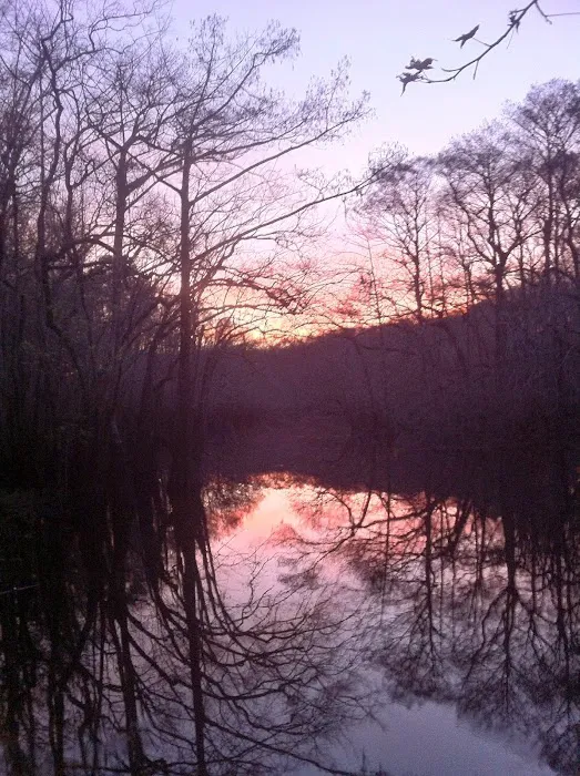 Cotton Landing Campground 7
