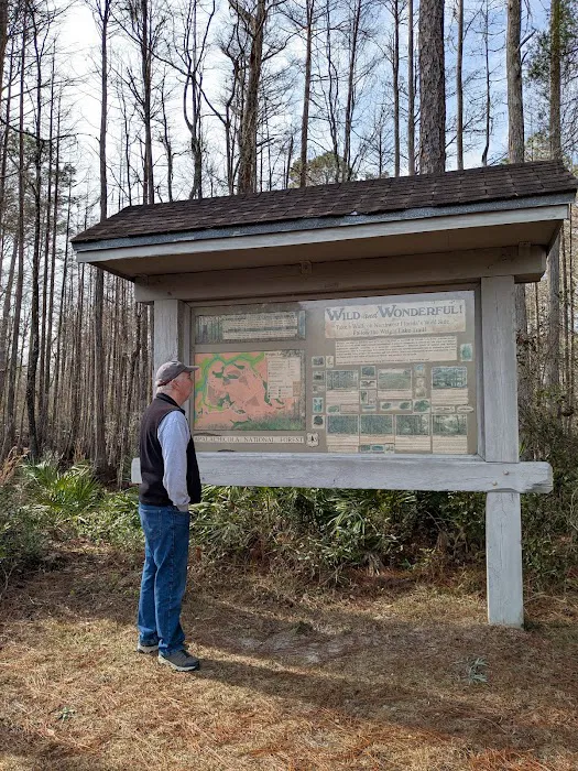 Wright Lake Campground 7