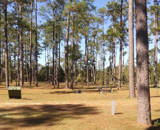Wright Lake Campground