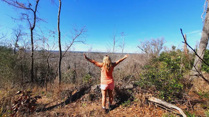 Bluff Rock 4