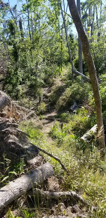 Bluff Rock 8
