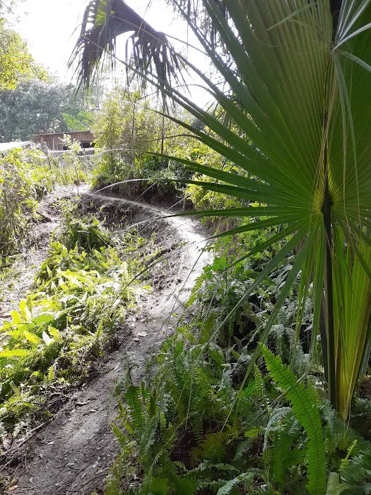 Suwannee Plantation 5