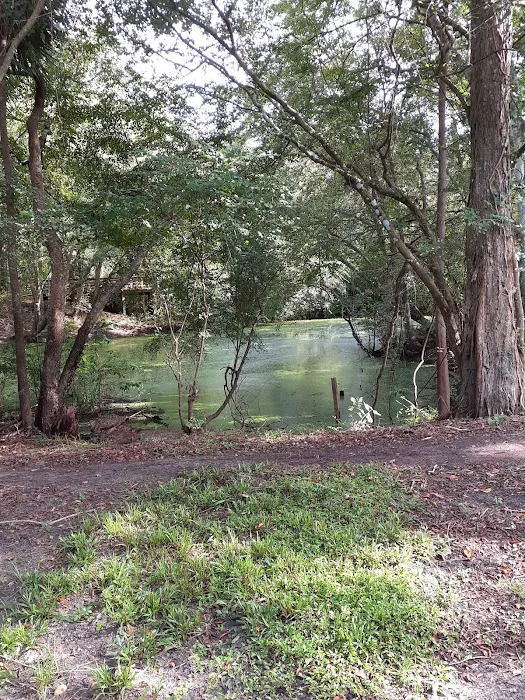Suwannee Plantation 9
