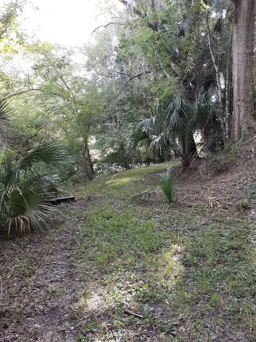 Suwannee Plantation 8