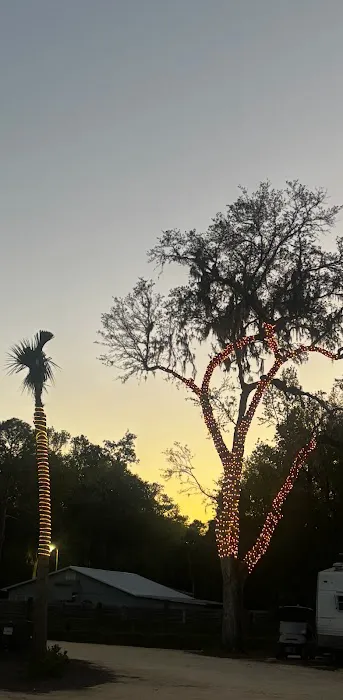 Glowing Palms RV Park, llc 7
