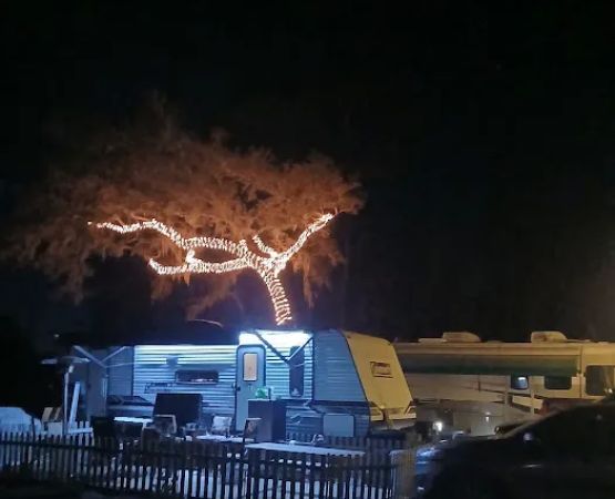 Glowing Palms RV Park, llc