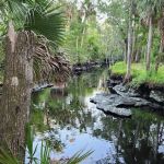 RIVER ISLAND CAMPGROUND