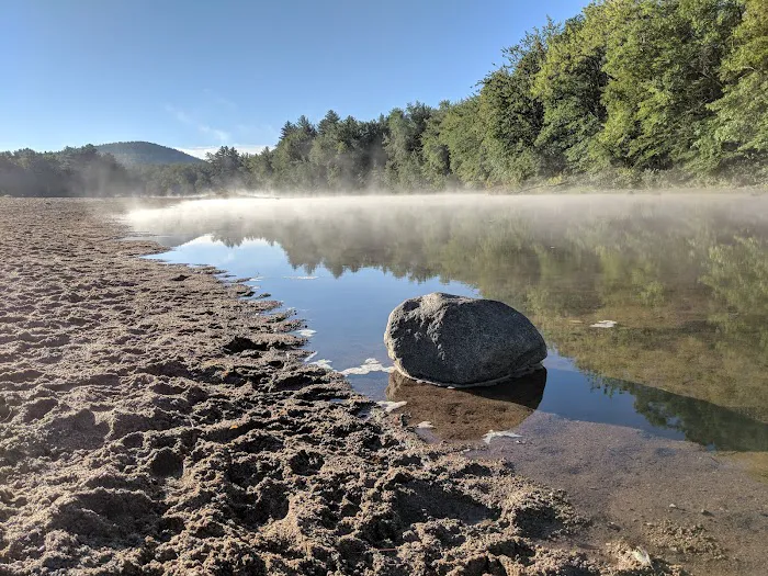 Fiddlehead Campground 9